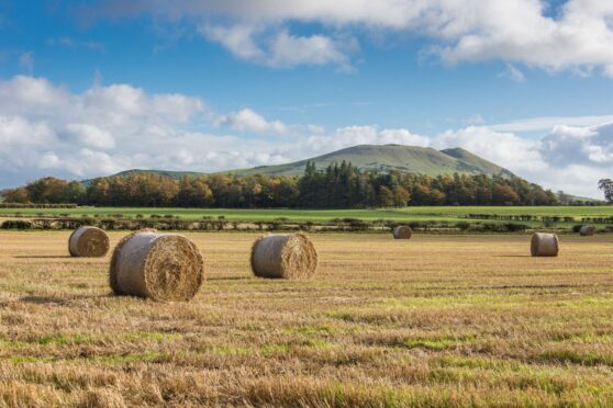 LAND REFORM: The Scottish Tenant Farmers Association has welcomed the planned legislation.