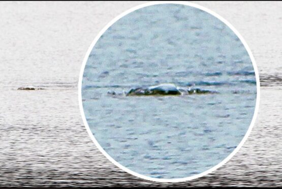 'The most compelling evidence yet' of Nessie?  Image: The Cryptid Factor Podcast