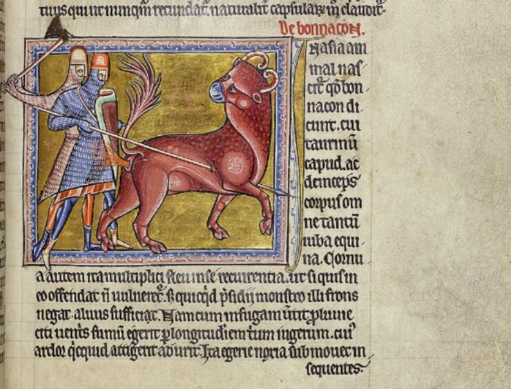 The animal joke in The Aberdeen Bestiary is thought to be Britain's oldest recorded animal joke. 
