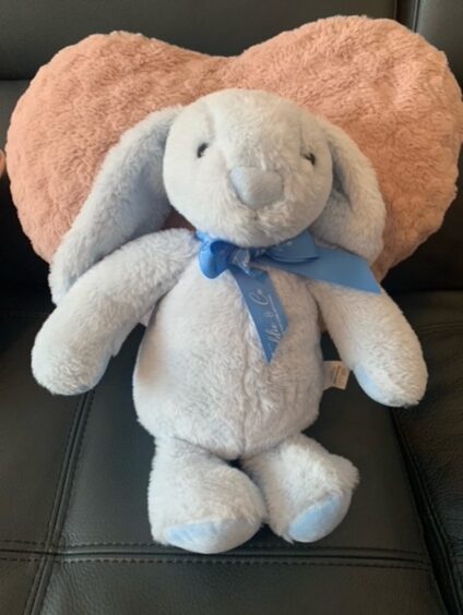 Baby Aiden's bunny rabbit toy.