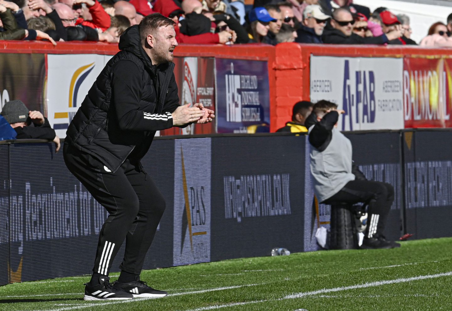 Aberdeen manager Peter Leven during the 0-0 Premiership draw with Dundee at Pittodrie. Image: SNS