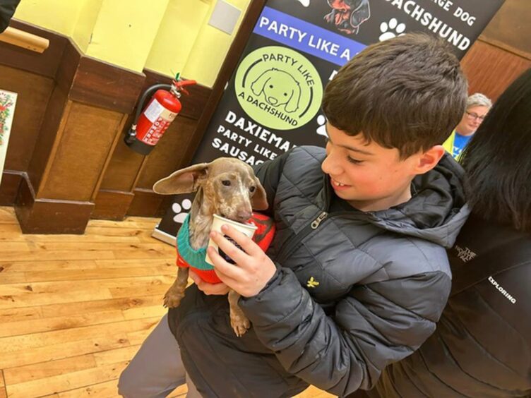 Young boy with pet at a dog disco party.