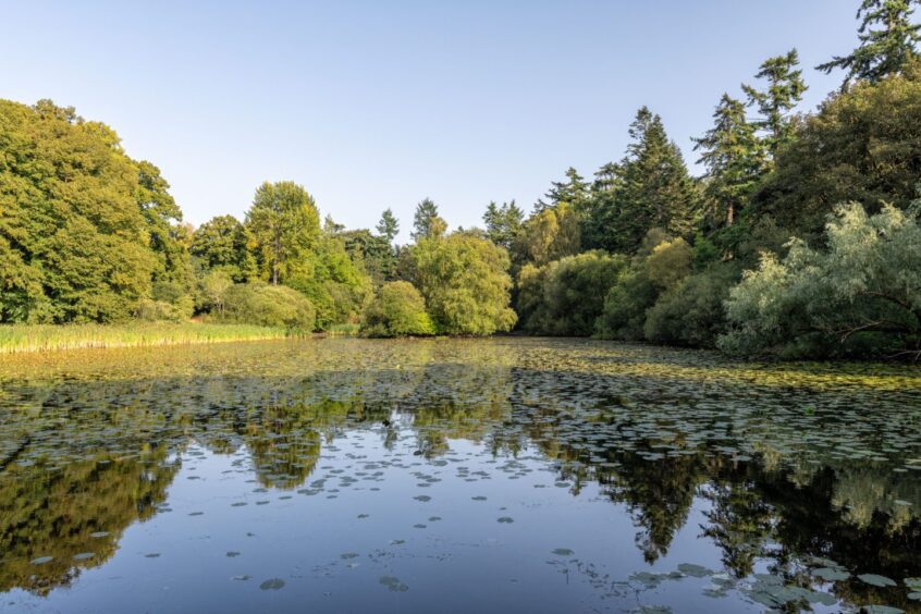 The lake nearby