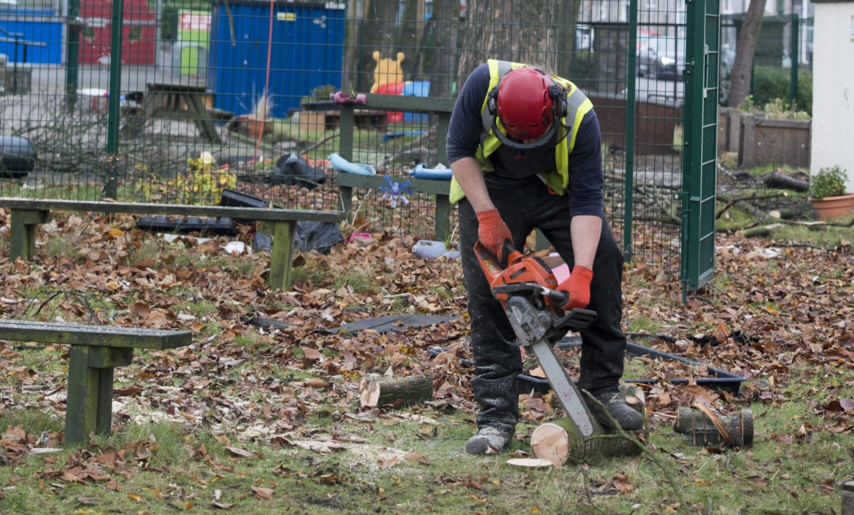 Worker using chainsaw to cut tree in Aberdeen.