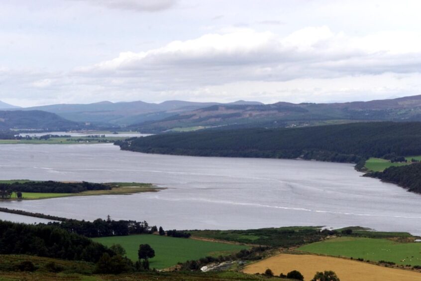 A wide general view of the Dornoch Firth. Image: Ken Macpherson.