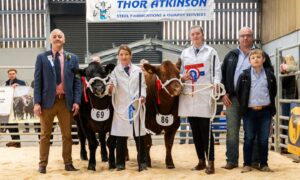 The champion and reserve winners with sponsor Thor Atkinson and judge Frank Page.