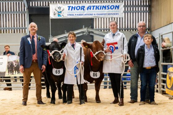 The champion and reserve winners with sponsor Thor Atkinson and judge Frank Page.