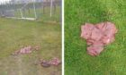 Piles of offal at Elgin playing fields. Image: Supplied.