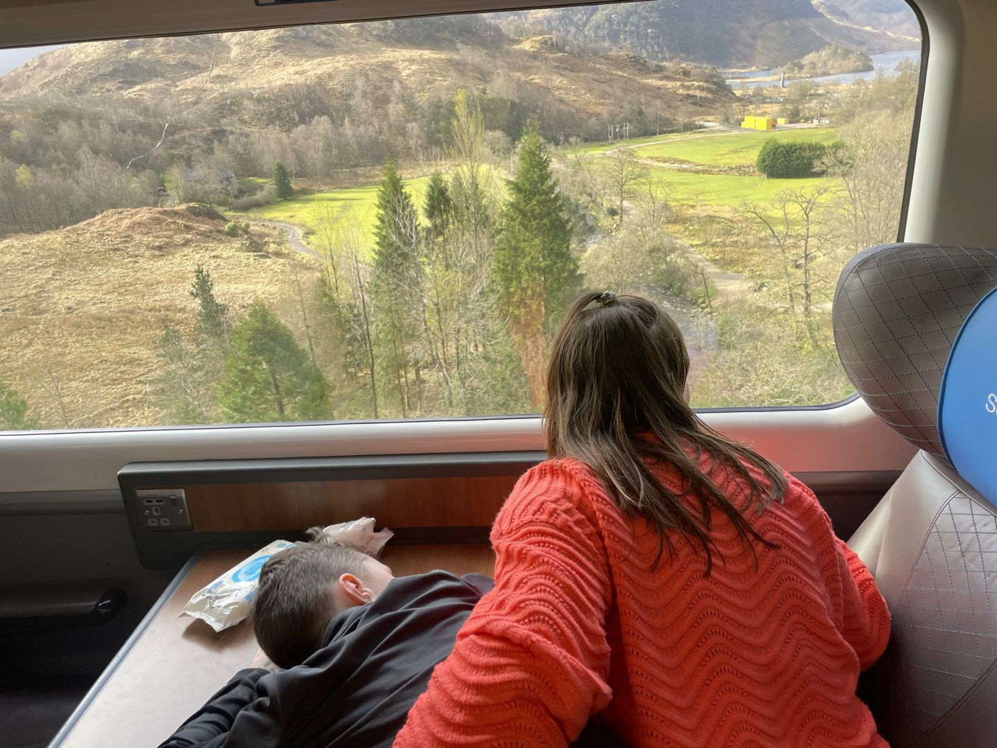 Passengers enjoy the views from the carriages of the Class 37 on the Harry Potter line.