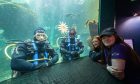 Some of the staff at the Macduff Marine Aquarium. From left to right: Chris Rowe Duty Manger, Chris Rickard Aquarist, Jess Fraser Volunteer, Abi Cooper Aquarium Assistant. All images: Jason Hedges/DC Thomson.