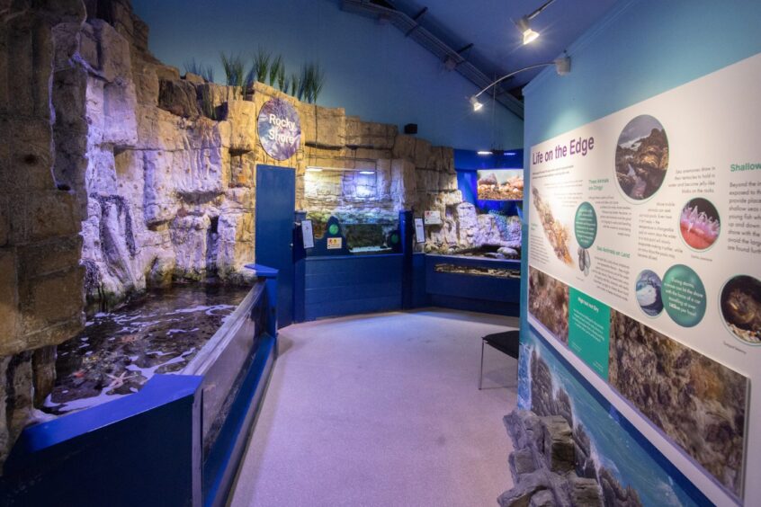 Inside Macduff Marine Aquarium.