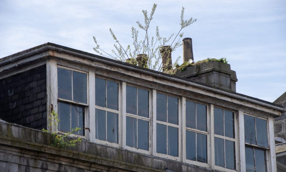 Union Street building with weeds, sticking out of its roof.