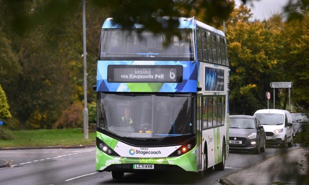 Blue green and white Stagecoach double decker beneath a tree branch.