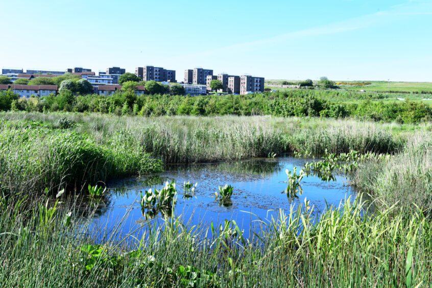 St Fittick's Community Park