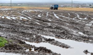 Fields like this one near Inverness have turned black with mud as persistent rain impacts spring crop production. Picture by Sandy McCook/DC Thomson.