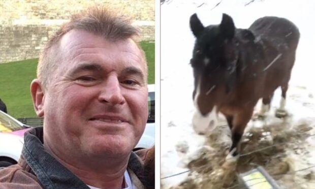 Philip Brayne neglected his pony Danny Boy. Images: Facebook