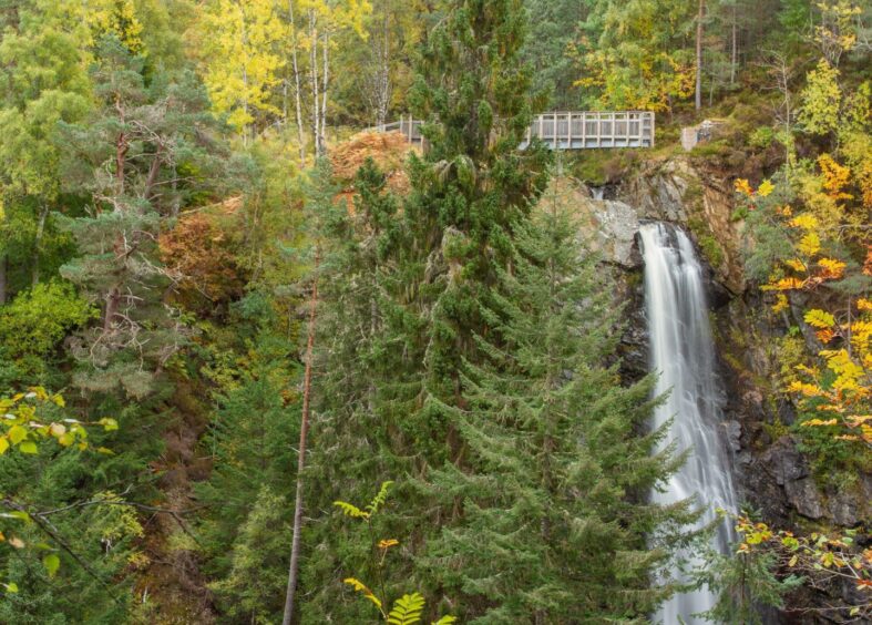 Plodda falls