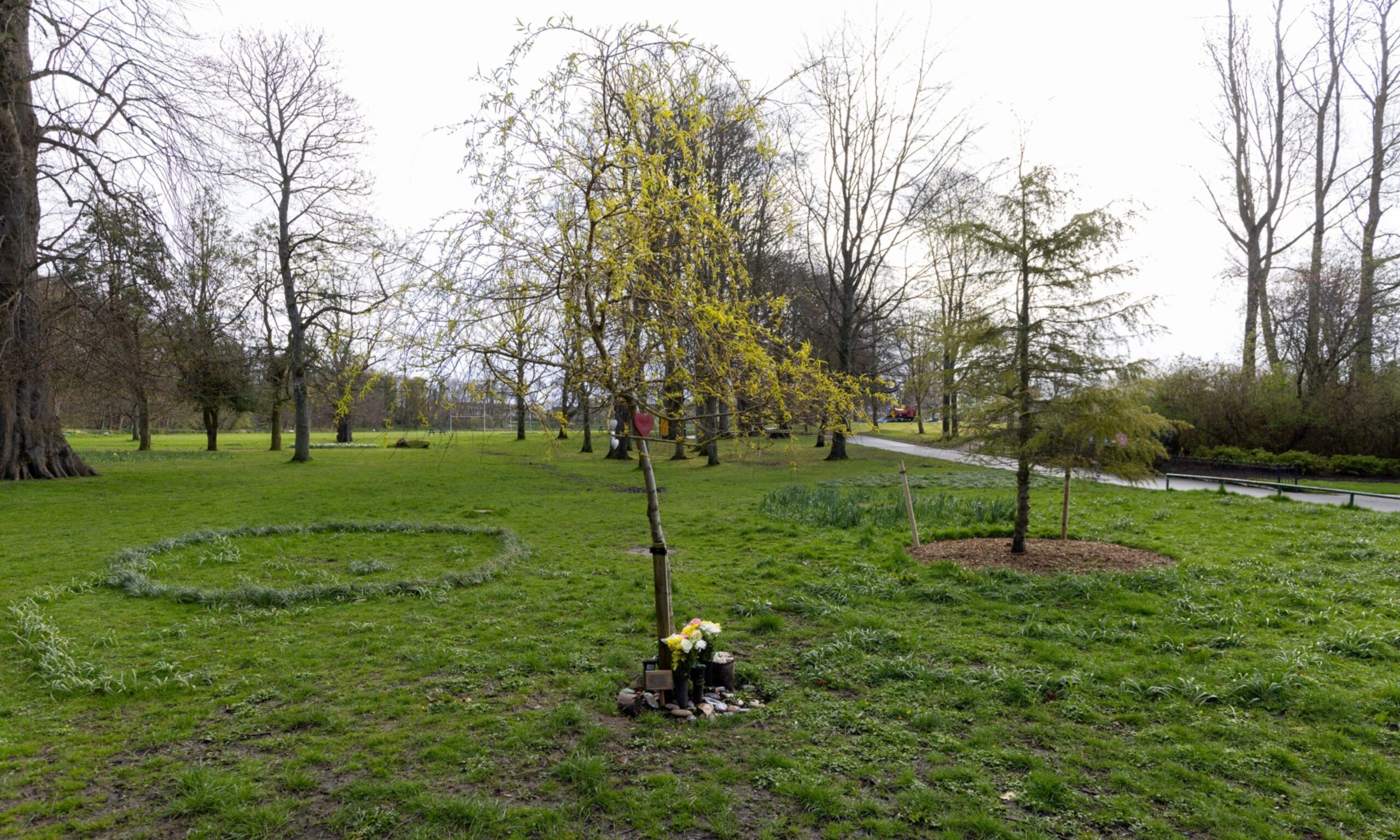 More tributes at a tree at Seaton park.