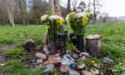 Seaton Park volunteers are calling for action over tributes like these.