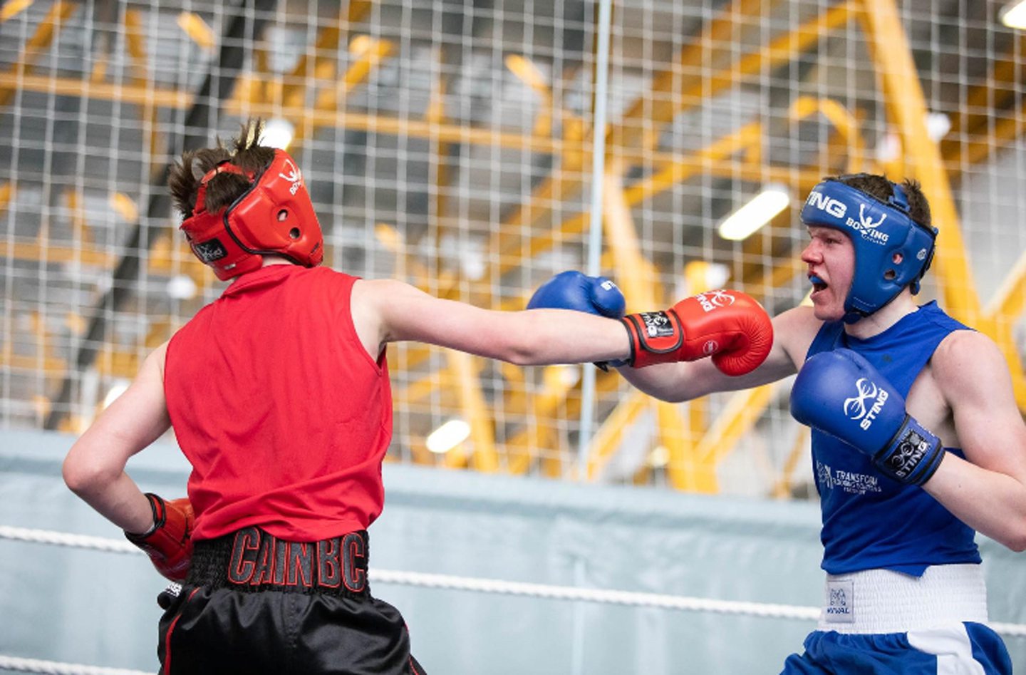 Granite City ABC boxer Ben Bonner in action during the Golden Gloves final. Image: Boxing Scotland 