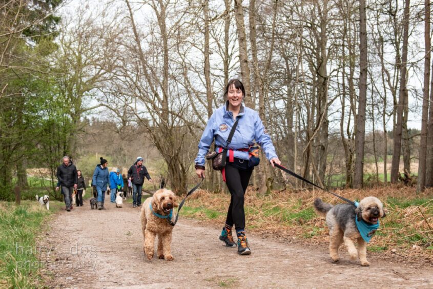 Organiser Vivien McCallum Kelly leading the pack on a walk through Crathes Castle estate.
