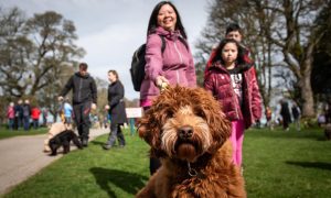The Doodle Dashers celebrated in style at Castle Fraser. Image: Hairy Dog Photography