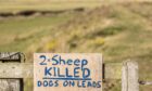 The issue of sheep worrying by dogs continues to be a major cause for concern for farmers.