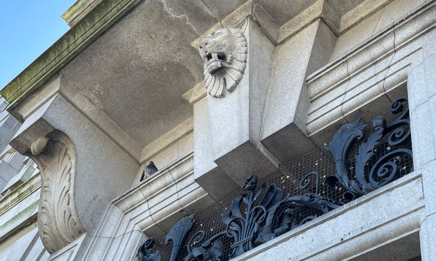 A carved leopard head above the door of the old bank at 17-19 Union Terrace.