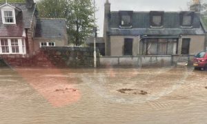 Everlongart impacted by flooding in Alford. Image: Jodie Bews.