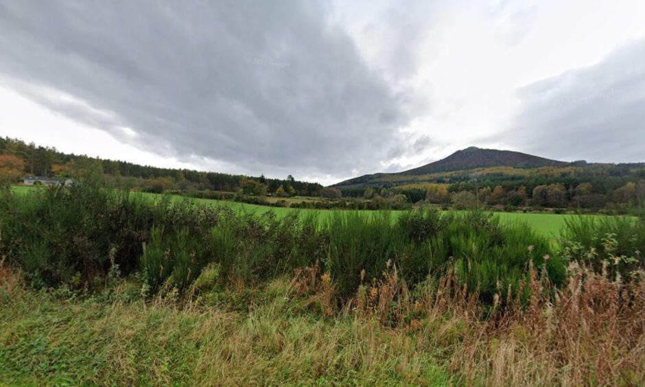 A view of the proposed glamping site and Bennachie in the distance