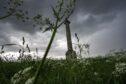 Elgin clouds led to a huge downpour.