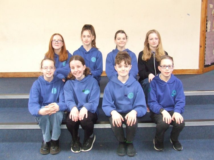 Craighill Primary, P7 Gaelic class