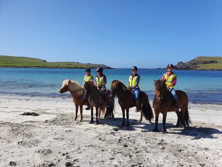 Trekking with Houlls Horses and Hounds. 