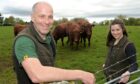 Graeme MacRae and his daughter Issy with some of their Luing cattle ahead of the sale in Dingwall. Pictures by Sandy McCook/DC Thomson.