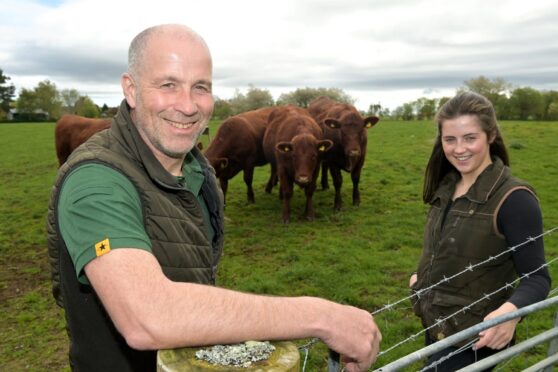 Graeme MacRae and his daughter Issy with some of their Luing cattle ahead of the sale in Dingwall. Pictures by Sandy McCook/DC Thomson.