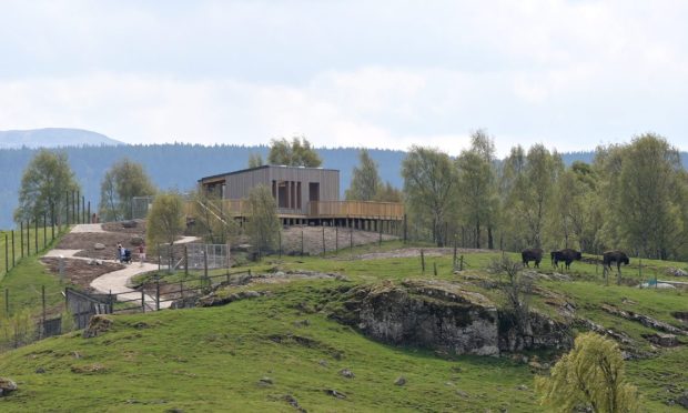Highland Wildlife Park's brand new Discovery Centre will open to the public next month. Image:
Sandy McCook/DC Thomson