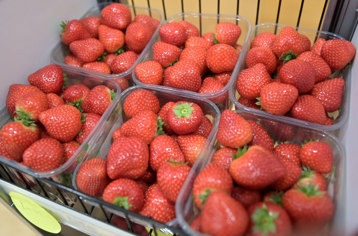 Swanson's strawberries at the event.