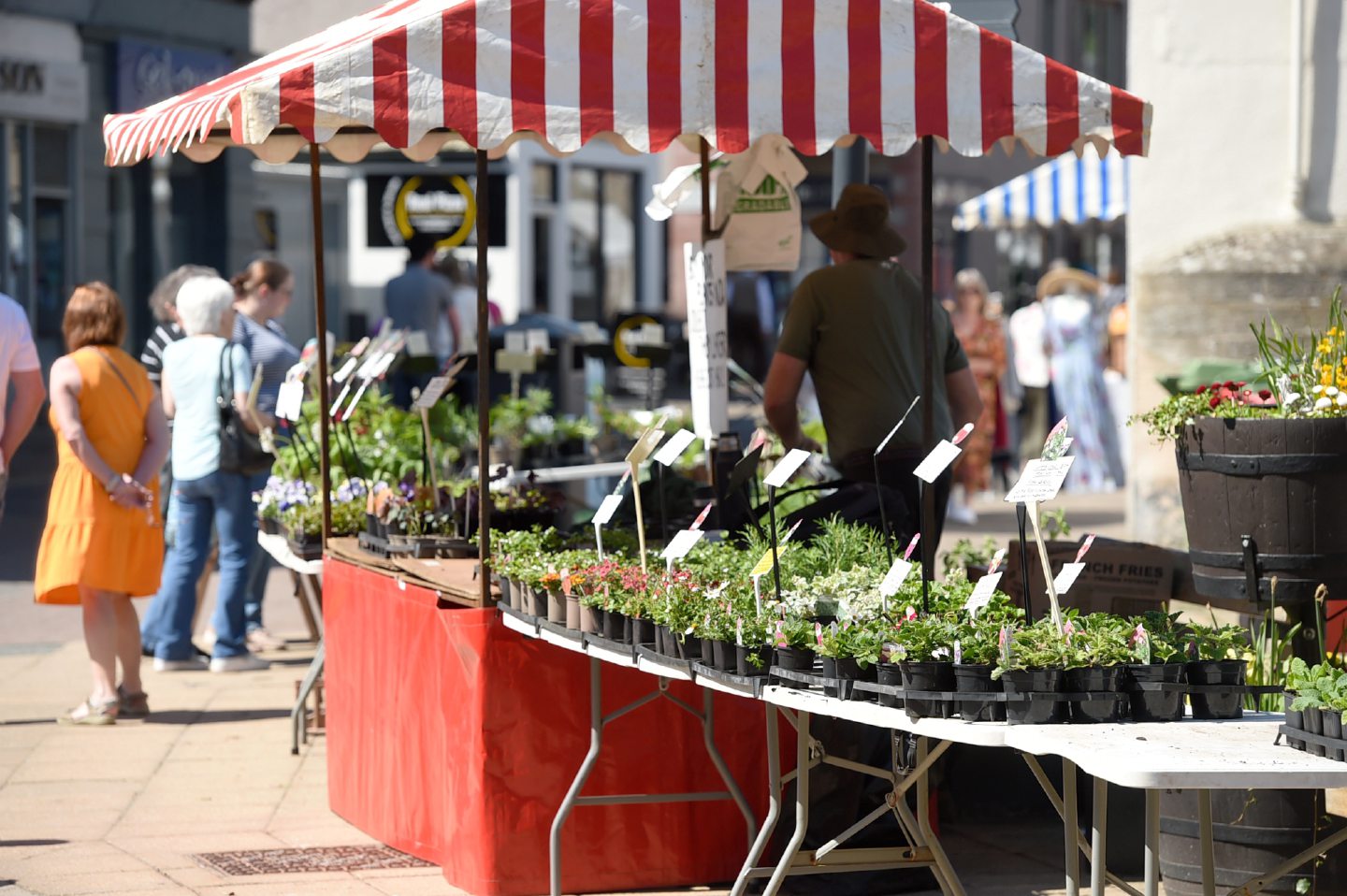 Stalls at the Nairn event.