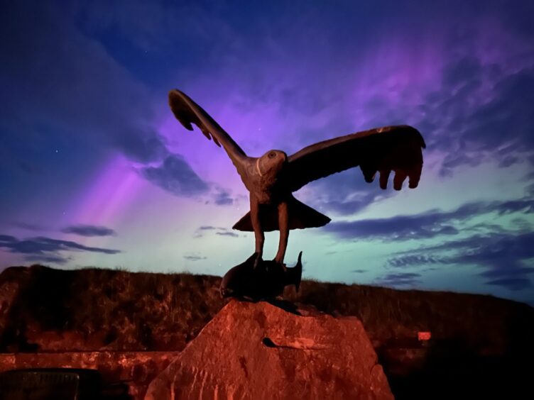 Osprey pictured at Dolphin Centre at Spey Bay amidst the Northern Lights. 