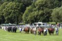 The livestock judging will take place on Monday August 5.