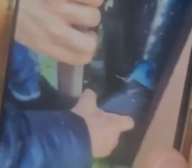 A screen grab of a video that appears to show a gun being taken from a bin in a public park. 