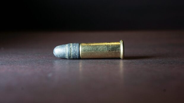 A bullet like this was found near the new school. Image: Shutterstock
