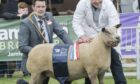 Bruce Ingram of Logie Durno, with his champion Charollais and breed judge Graham Foster from Northern Ireland.