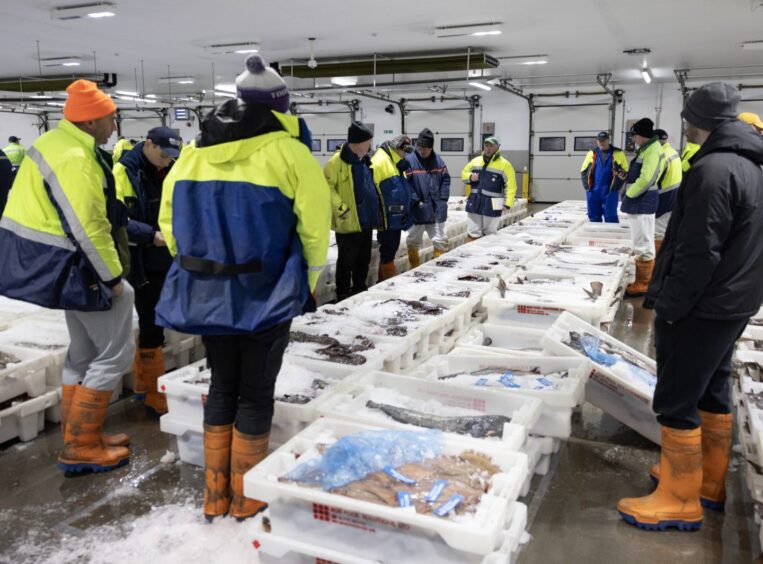 Peterhead Port fish market