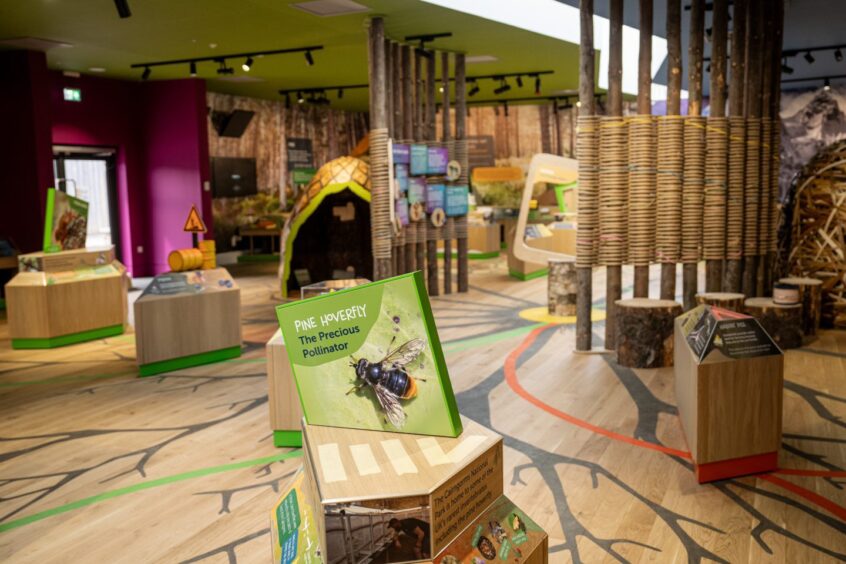 inside the Gateway at Scotland's Wildlife Discovery Centre