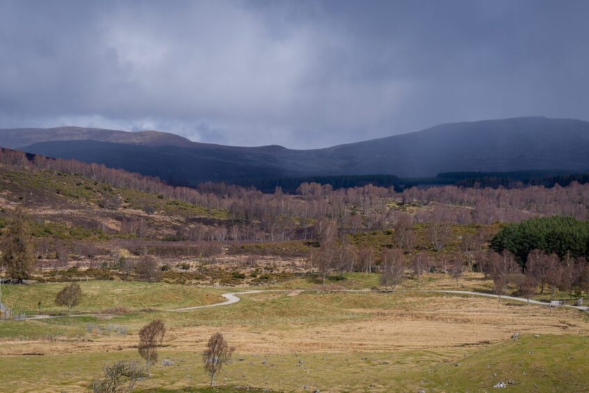 view from the Conservation Den of Scotland's Wildlife Discovery Centre