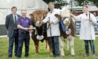 The continental Beefbreeder championship was won by the Limousin from Robert Graham, with Heather Duff's Simmental in reserve.