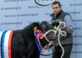 Craig Robertson will judge the baby beef and young handlers classes at the event in November.