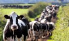 A sudden change in milk purchaser and contractual arrangements is always a time of worry for farmers, says NFUS milk committee chair.
