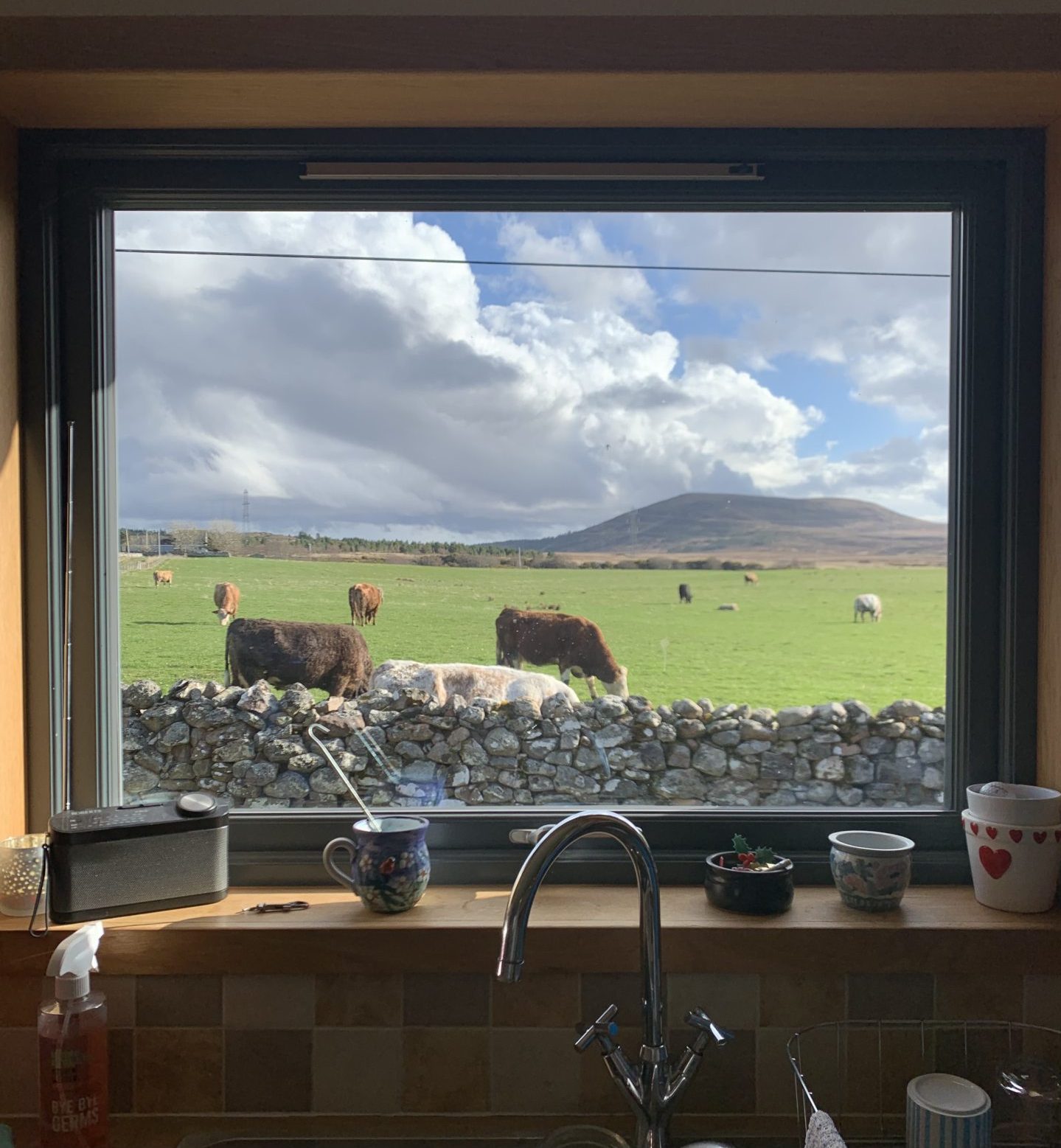 View from Erin's home in Reay, Caithness.